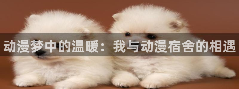 日韩动漫视频观看